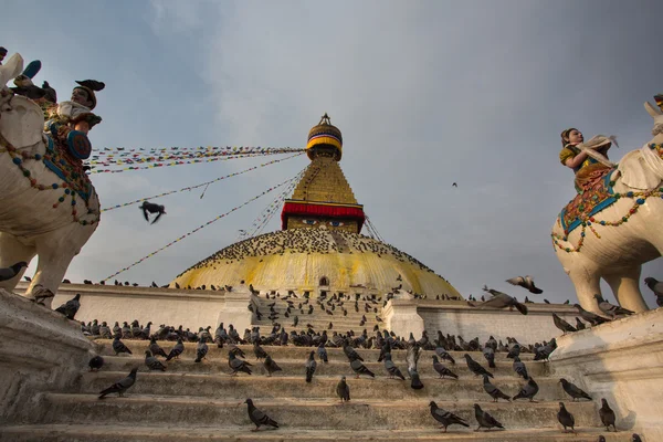 Boudhanath stupa ve kuşlar — Stok fotoğraf