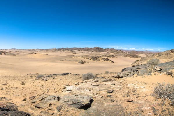 Скелетный берег пустыни — стоковое фото