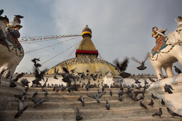 Las palomas y la estupa Bodhnath — Foto de Stock