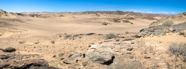 Σκελετός ακτή έρημο — Φωτογραφία Αρχείου