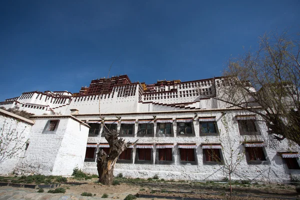 Potala Sarayı, tibet — Stok fotoğraf