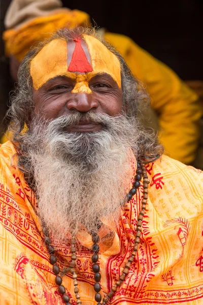 Sadhu - uomo santo — Foto Stock