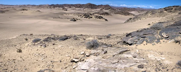 Skeleton coast çöl — Stok fotoğraf