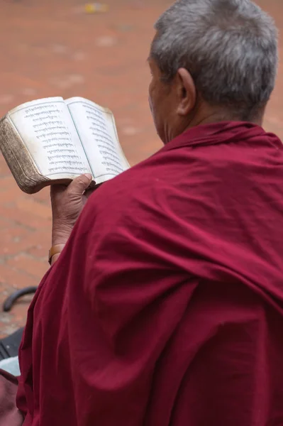 Монаха, що читає в Непалі — стокове фото