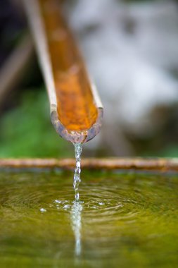 Bambu çeşme suyu bir tapınak ile