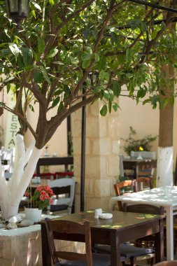 zeytin ağacı ve geleneksel Teras Restaurant Girit