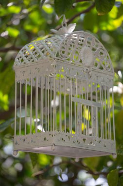 jaula de pájaro vacío colgando de un árbol