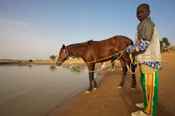 Un uomo e il suo cavallo — Foto Stock