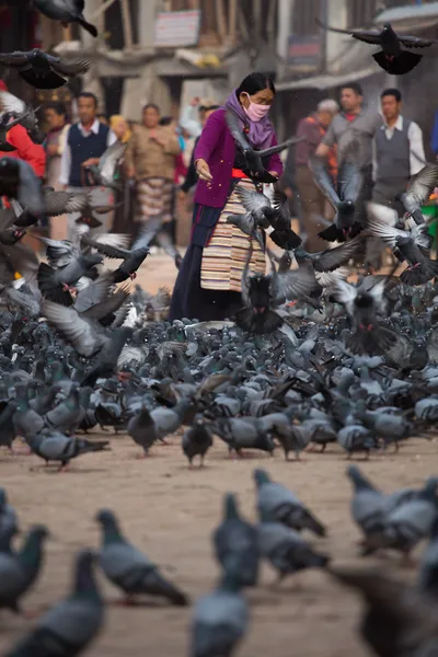 Maskierte Seniorin füttert Tauben — Stockfoto
