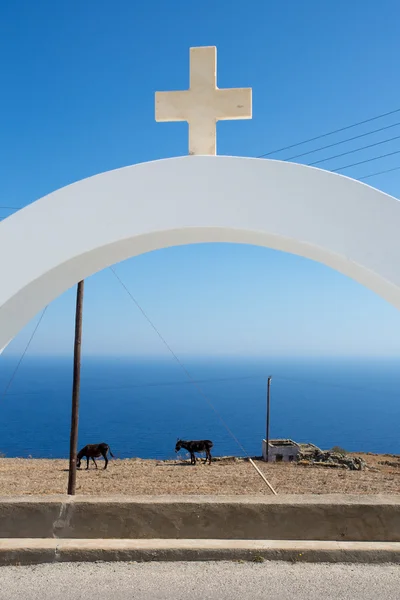 Orthodox Cross and donkeys — Stock Photo, Image