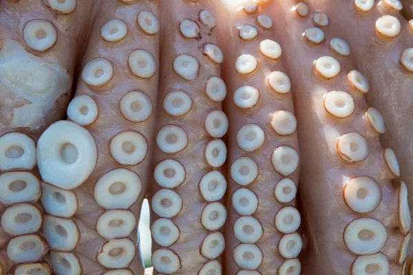 Zongedroogde octopus, traditionele visserij in Griekenland — Stockfoto