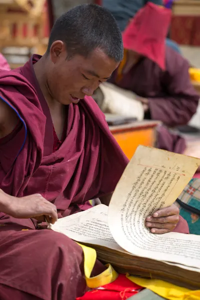 Monk reading and studying a traditional book — Stock Photo, Image
