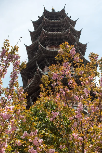 Widok drzewa w Chinach i chińska świątynia — Zdjęcie stockowe
