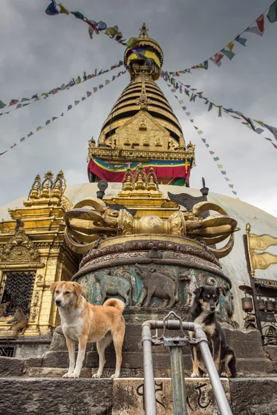 Tak av ett tempel — Stockfoto