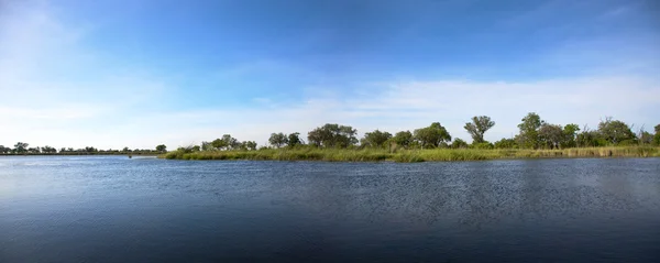 Okavango-Delta — Stockfoto