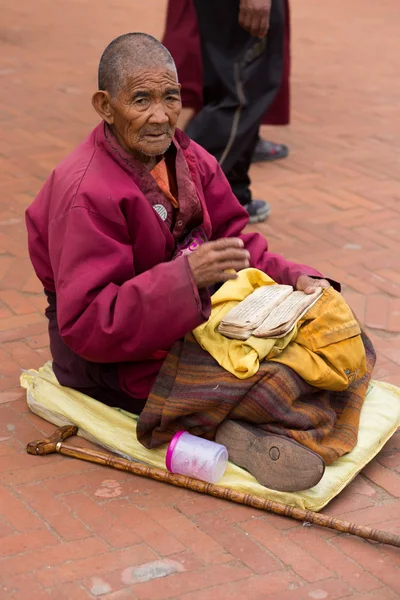 Monaco tibetano che legge un vecchio manoscritto tibetano — Foto Stock