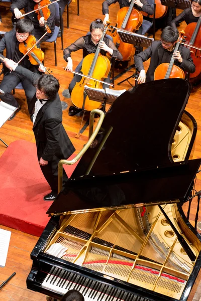 Gruppe von Menschen, die in einem Konzert mit klassischer Musik spielen, China — Stockfoto