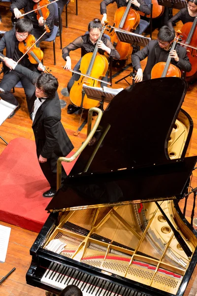 Grupo de personas tocando en un concierto de música clásica, china — Foto de Stock