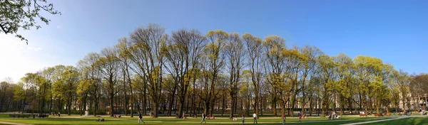 Emberek gyaloglás-ra egy vasárnap délután a parkban a Cinquent — Stock Fotó