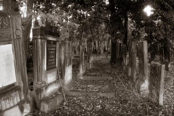 Cimitero ebraico a Lodz, Polonia — Foto Stock