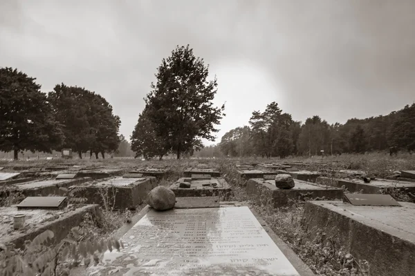 Cimitero ebraico a Lodz, Polonia — Foto Stock