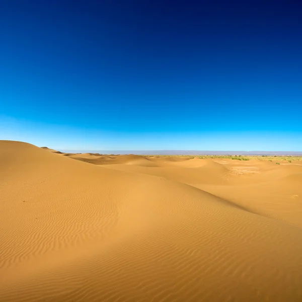 Majestosa paisagem de dunas — Fotografia de Stock