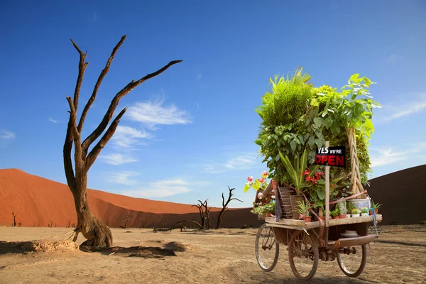 彼の自転車に de の植物や花を提供する配達人 — ストック写真