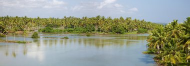 Back Waters in Kerala