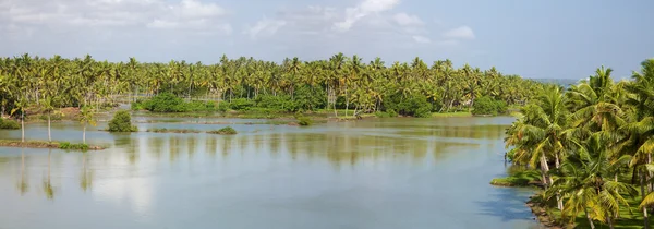 Aguas traseras en Kerala — Foto de Stock