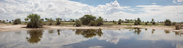 Paisagem africana com árvores refletidas na água — Fotografia de Stock