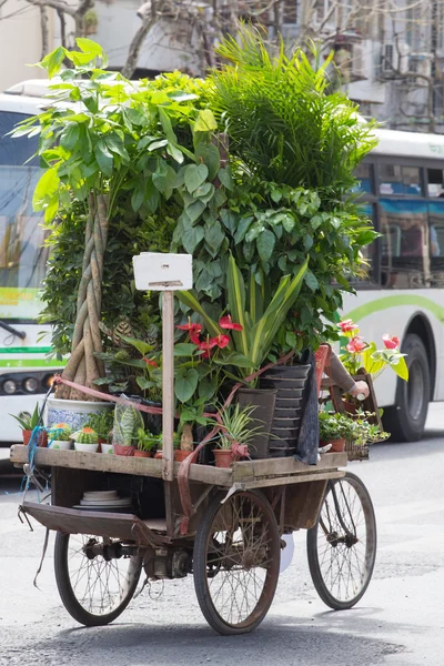 Homem de bicicleta e carregando um monte de flores e plantas em seu bicy — Fotografia de Stock