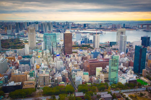 Tokyo skyline — Stock Photo, Image