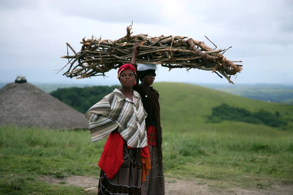 Güney Afrika'da odun taşırken istirahat Afrikalı kadınlar