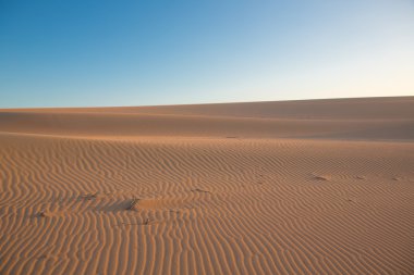büyük dune yakınındaki punta gallinas
