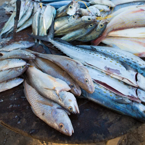 Peces frescos en el mercado de pescado en la playa —  Fotos de Stock