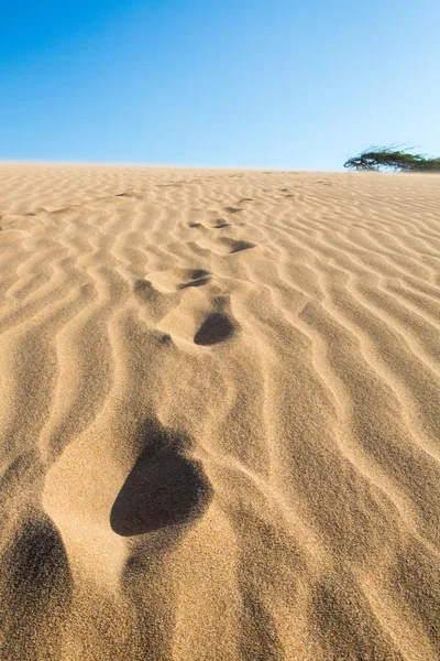 Hatalmas homokdűnék la guajira, Kolumbia — Stock Fotó