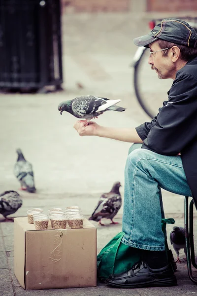 Pigeon perched on hand of seeds seller. — Stock Photo, Image