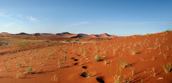 Sossusvlei，纳米比亚纳米布沙漠 — 图库照片