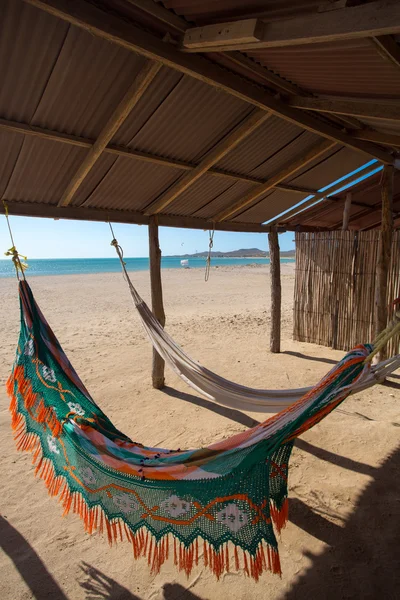 Colorful hammocks on a beautiful deserted bach — Stock Photo, Image