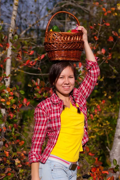 Chica con cesta de verduras —  Fotos de Stock
