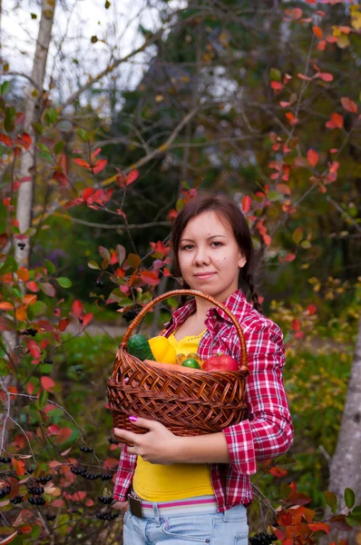 Chica con cesta de verduras — Foto de Stock