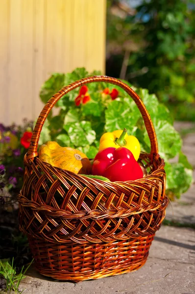 Basket with harvest Stock Picture