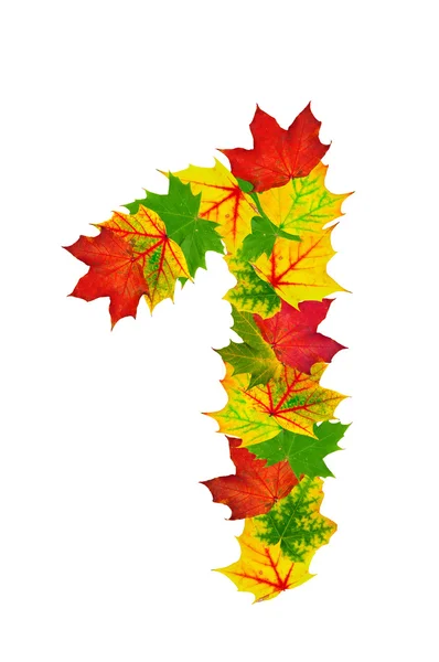 Feuilles d'érable d'automne en forme de numéro 1 — Photo