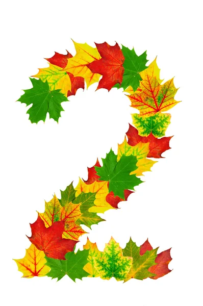Maple Outono Folhas em forma de número 2 — Fotografia de Stock