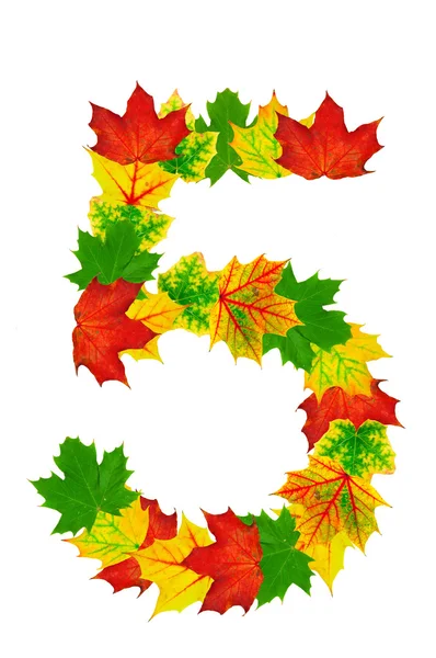 Herfst esdoorn bladeren in de vorm van nummer 5 — Stockfoto