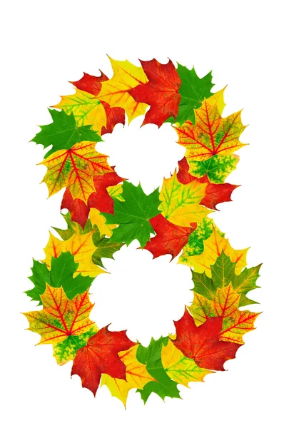 Autumn maple Leaves in the shape of number 8 — Stock Photo, Image