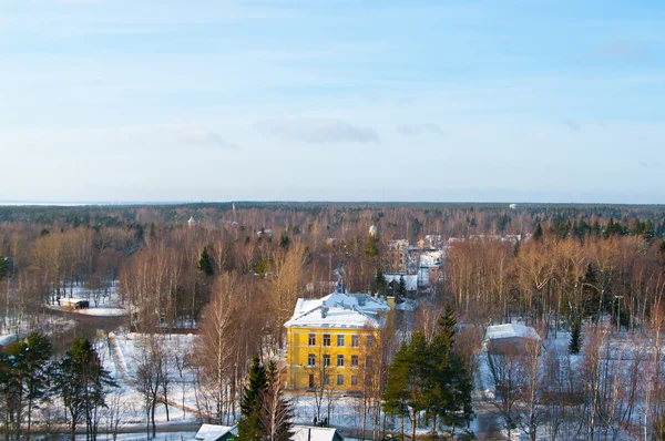 Bellissimo paesaggio invernale — Foto Stock