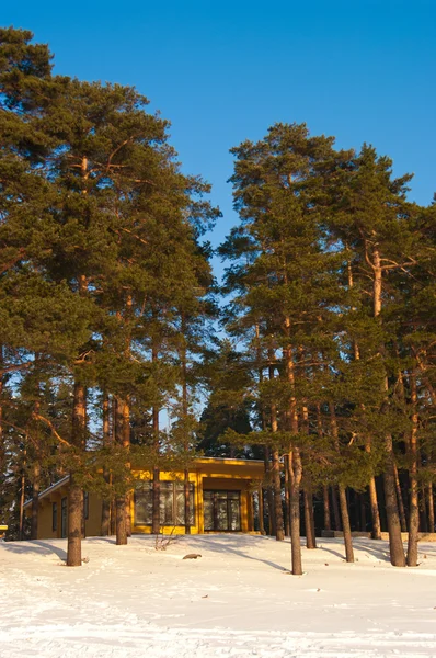 Prachtig winterlandschap — Stockfoto