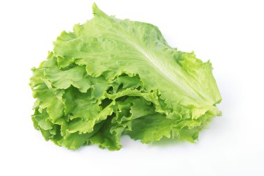 salata yaprakları