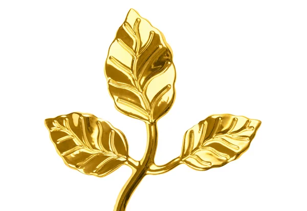 Planta dourada — Fotografia de Stock
